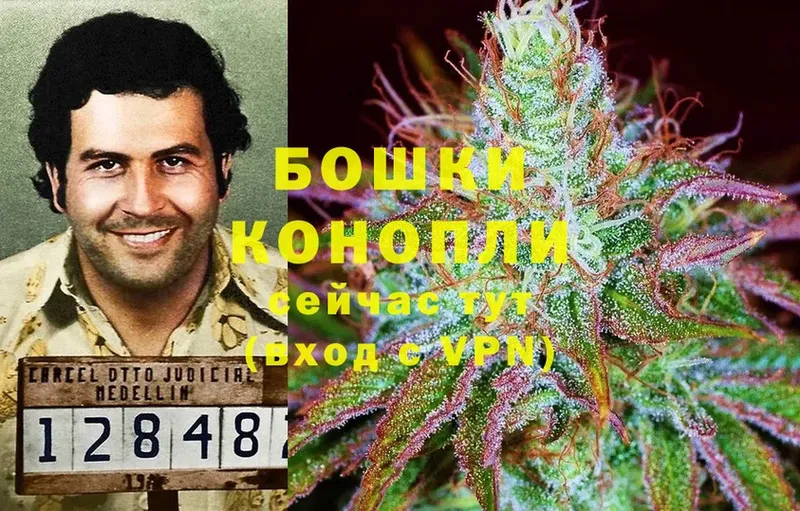 Канабис Bruce Banner  где купить наркоту  Рославль 